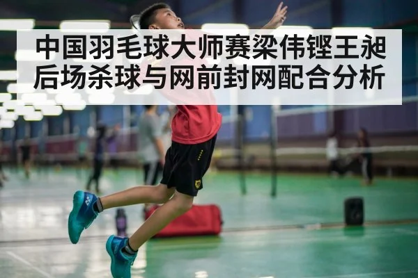 中国羽毛球大师赛梁伟铿王昶后场杀球与网前封网配合分析